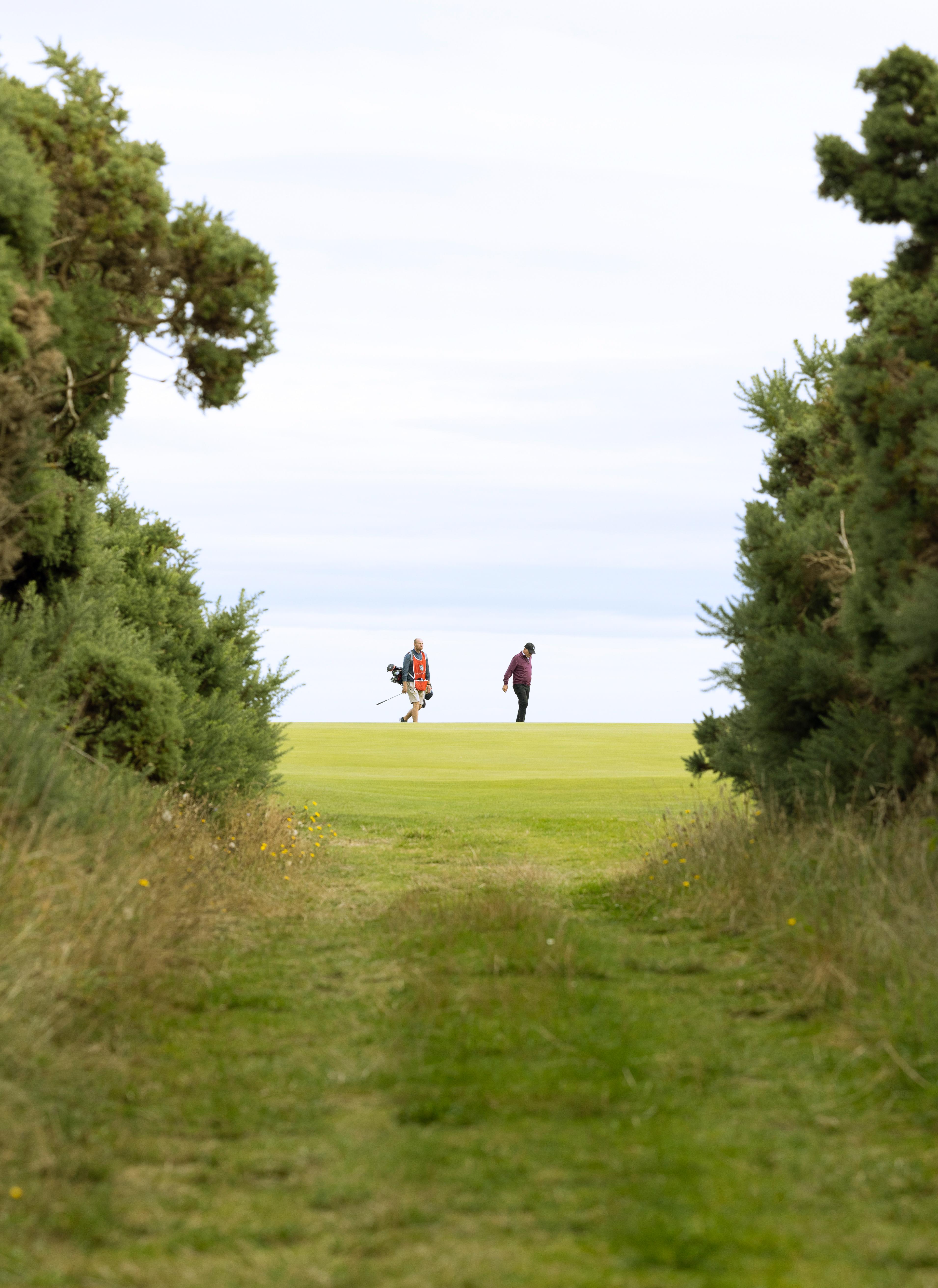 Dornoch Station Hotel Екстериор снимка Golfers on the 18th fairway