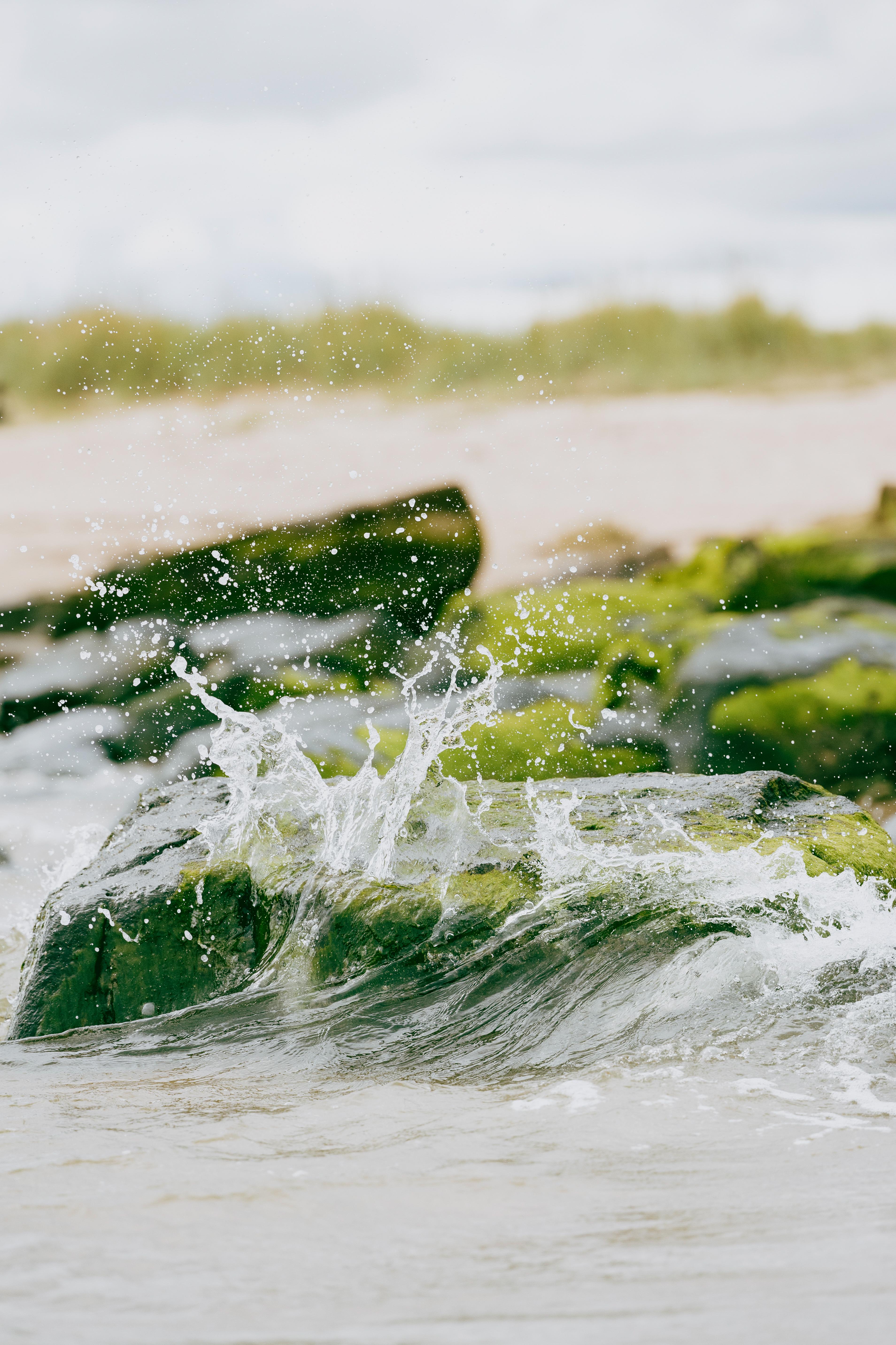 Dornoch Station Hotel Екстериор снимка Seaweed
