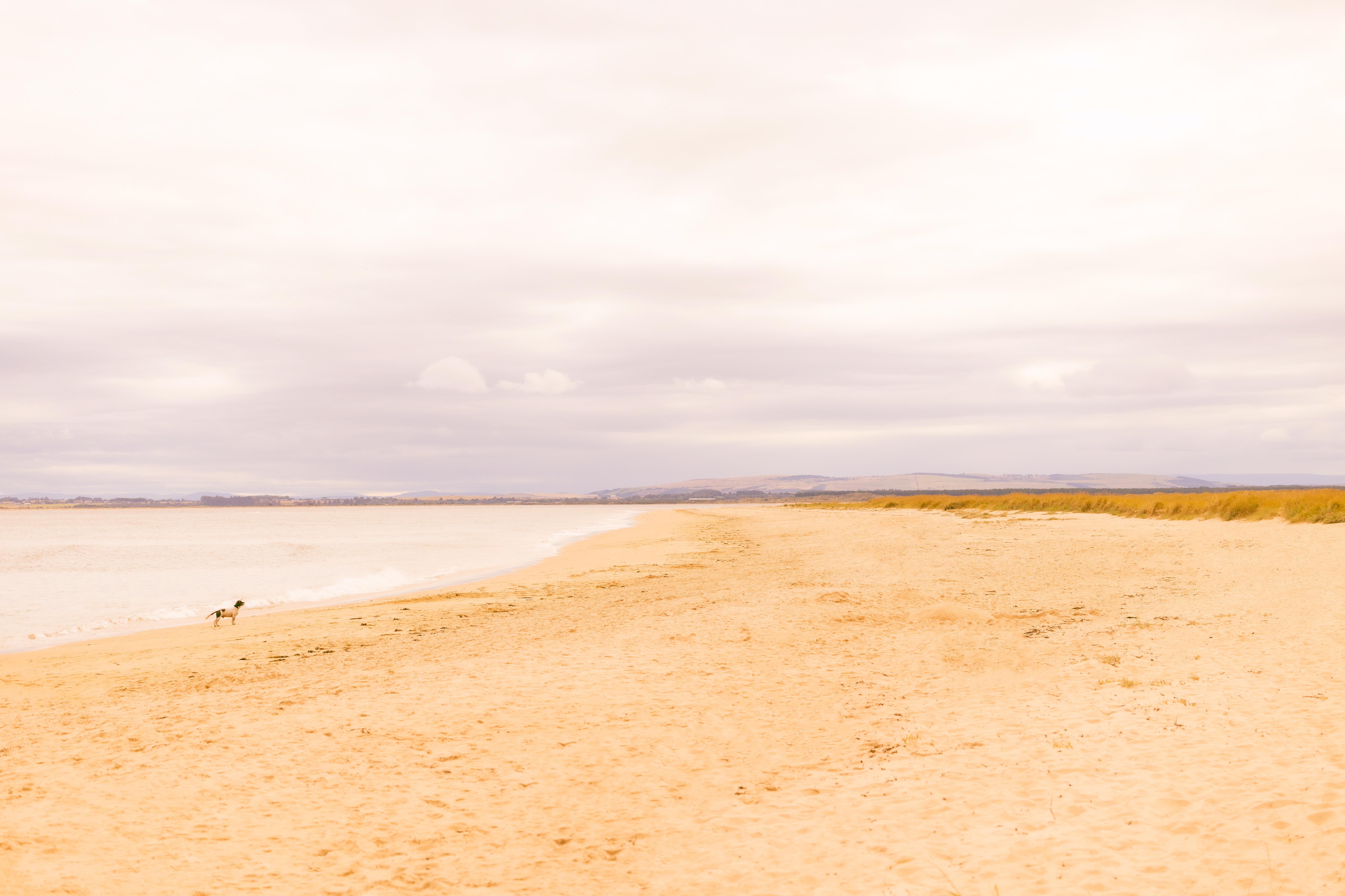 Dornoch Station Hotel Екстериор снимка The beach at West Bay