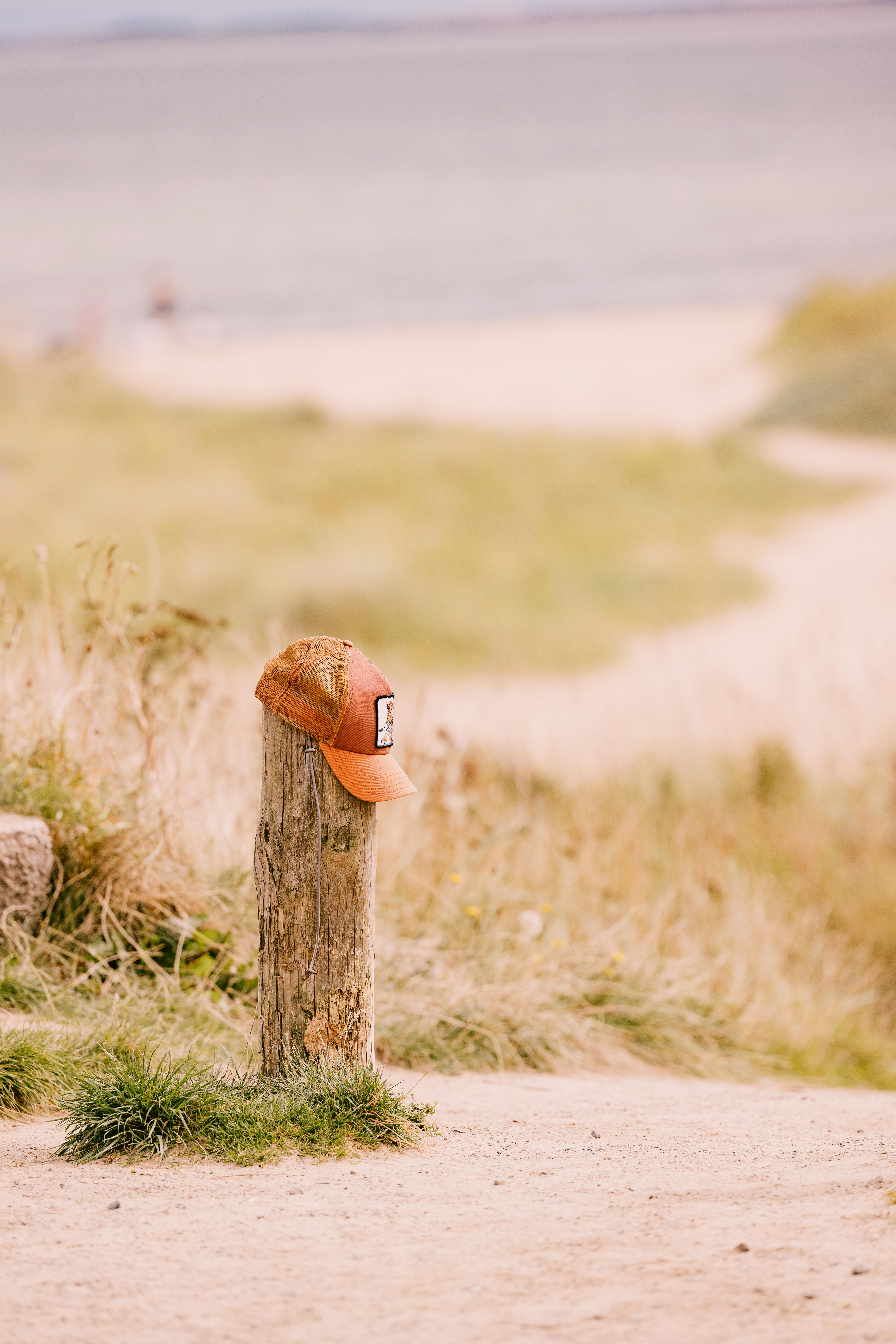 Dornoch Station Hotel Екстериор снимка A hat on a fence post